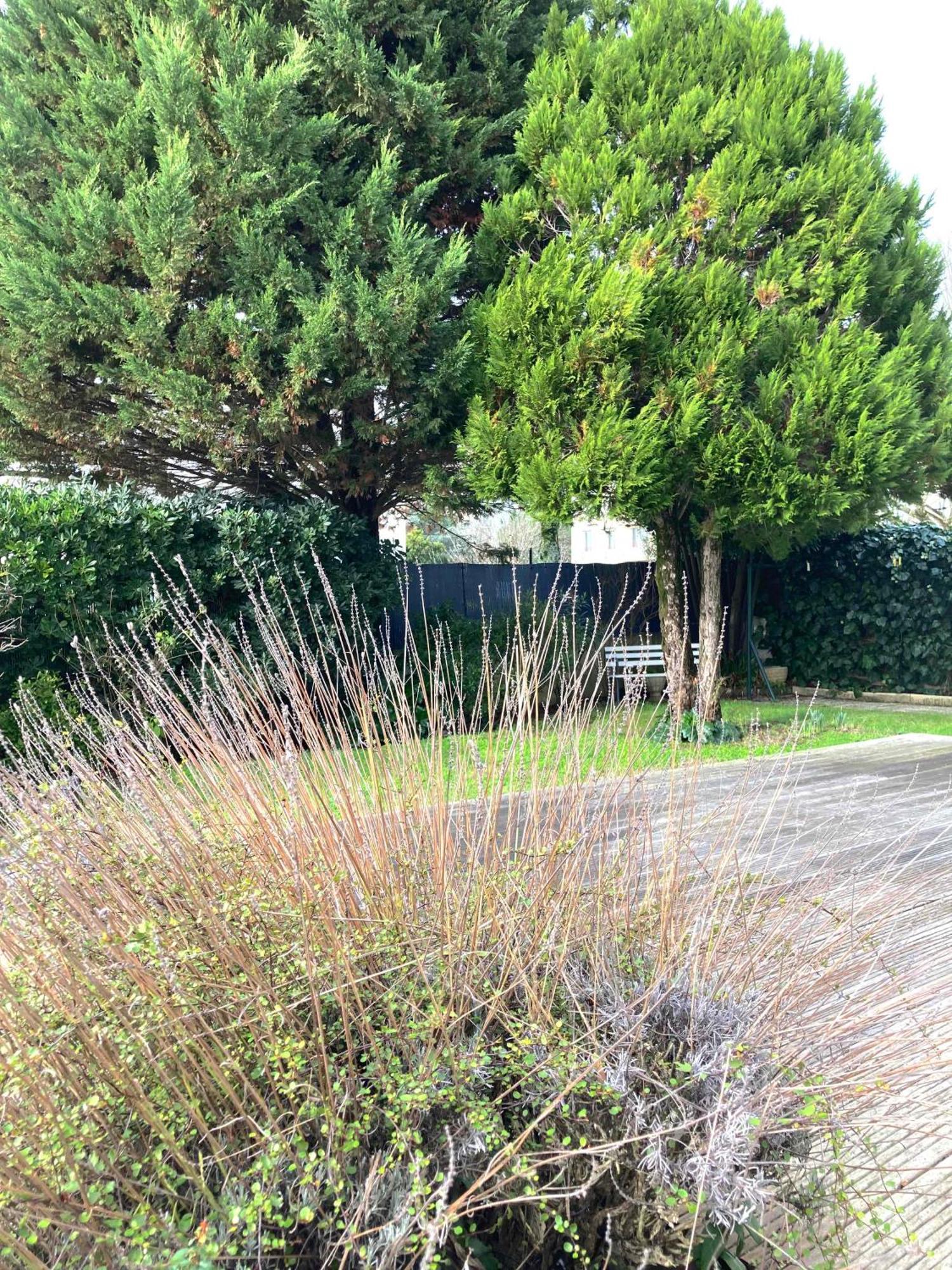 Maison Centre Ville Avec Jardin , Terrasse, Et Garage Velos La Rochelle  Eksteriør bilde